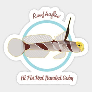 Hi Fin Red Banded Goby Sticker